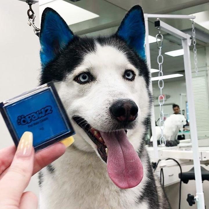 PET HAIR CHALK - Afbeelding 6