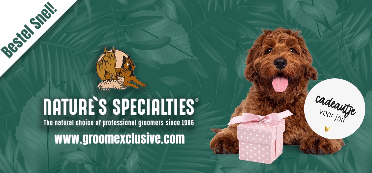 gratis kado bij je order